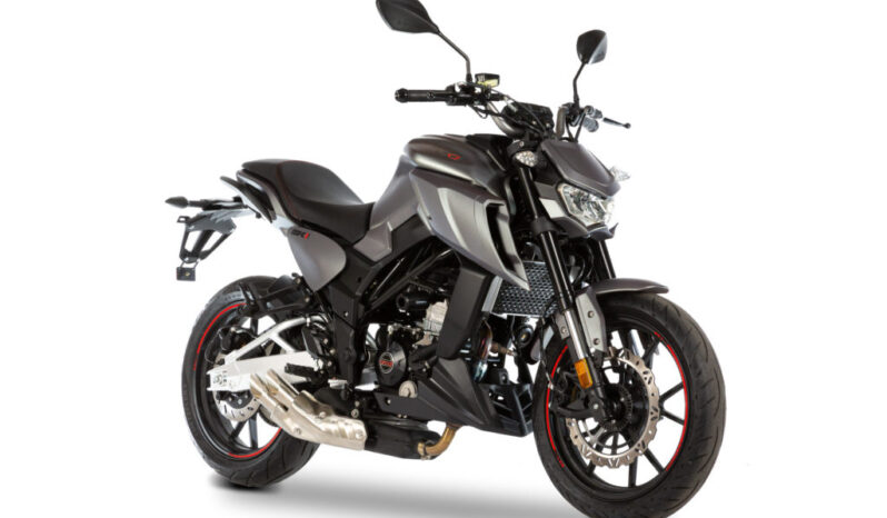 sk01-gris-3-4-av-1024×684