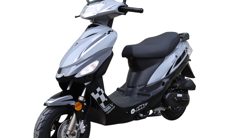 GECKO-TROISQUART-GAUCHE-1000×1000-1