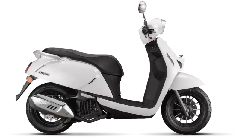 LTR-125-Blanc-1202×849-noir-1202×849-c-default