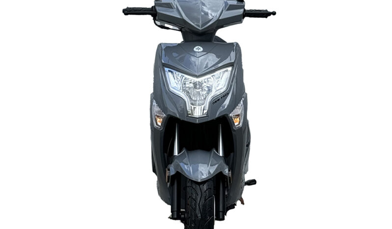 NEWPACH-GRIS-1000×1000-FACE